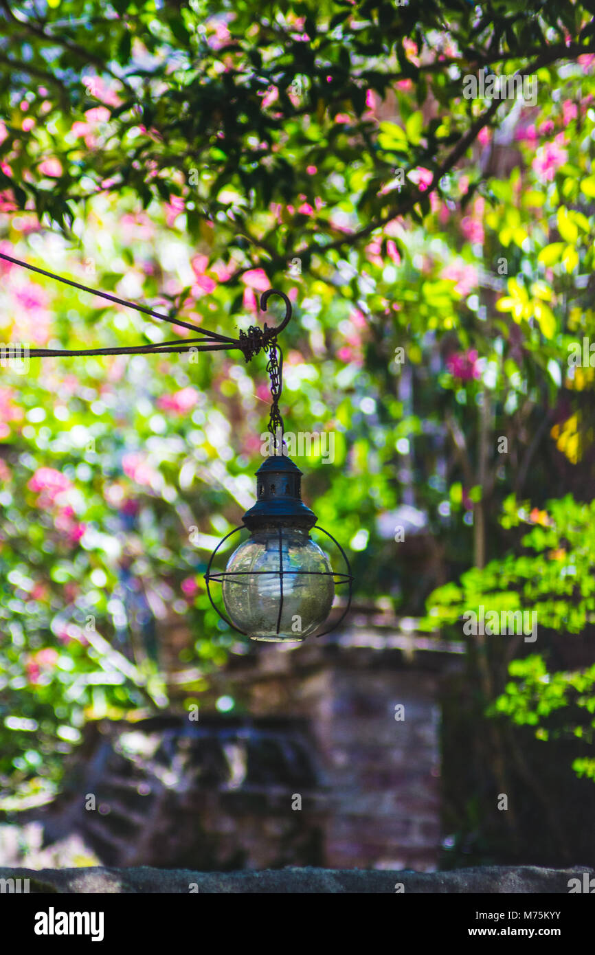 Lanterna di primavera Foto Stock