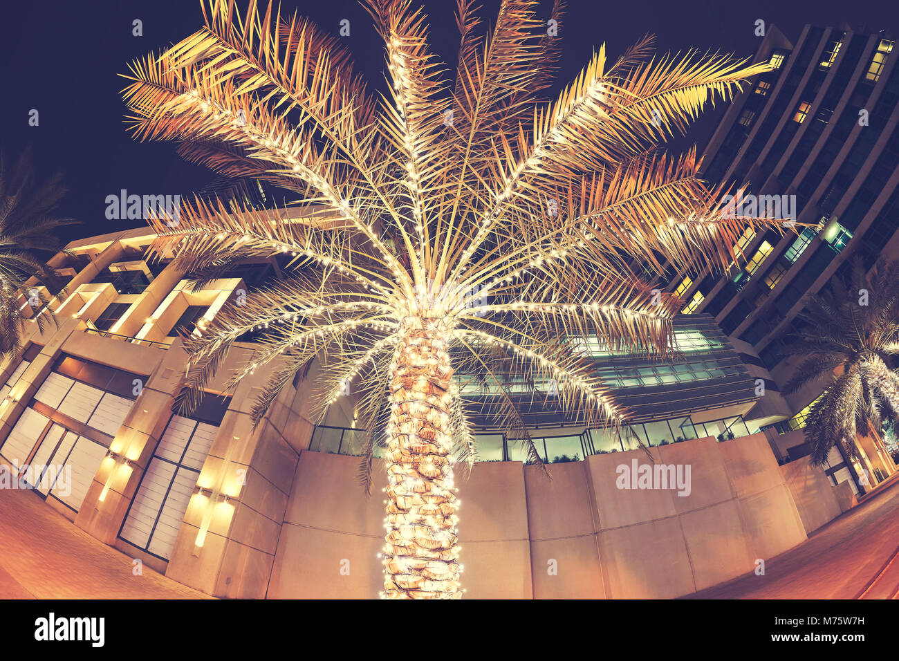 Primo Piano Di Lampadine Colorate A Led Appese A Un Albero - Fotografie  stock e altre immagini di Albero - iStock