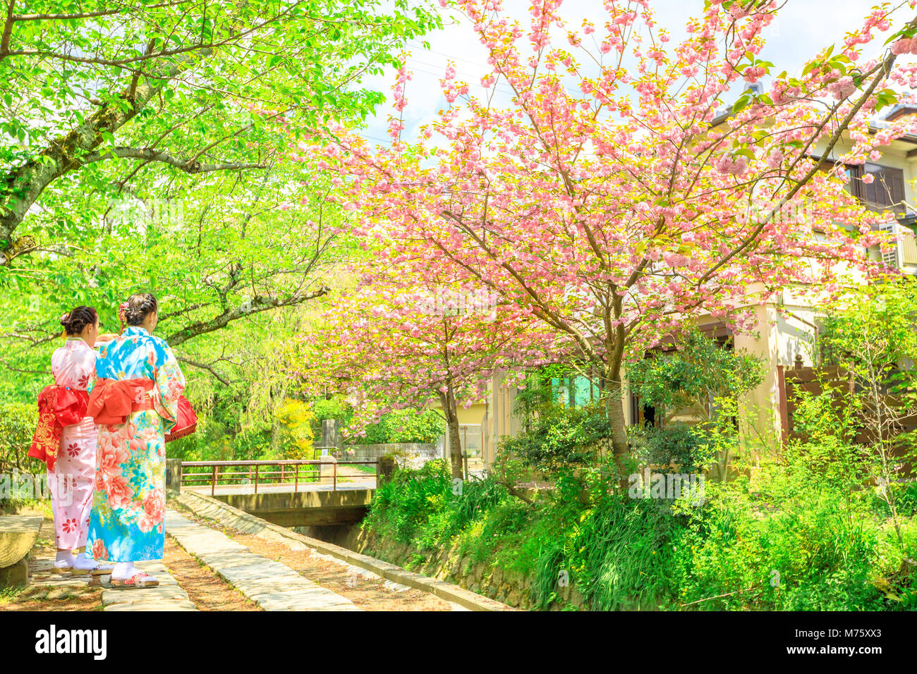 Due donne asiatiche in kimono scattare foto di fiori di ciliegio alberi lungo il filosofo a piedi durante il Sakura, sping stagione. Il percorso è una famosa strada pedonale nel quartiere di Higashiyama, Kyoto, Giappone. Foto Stock