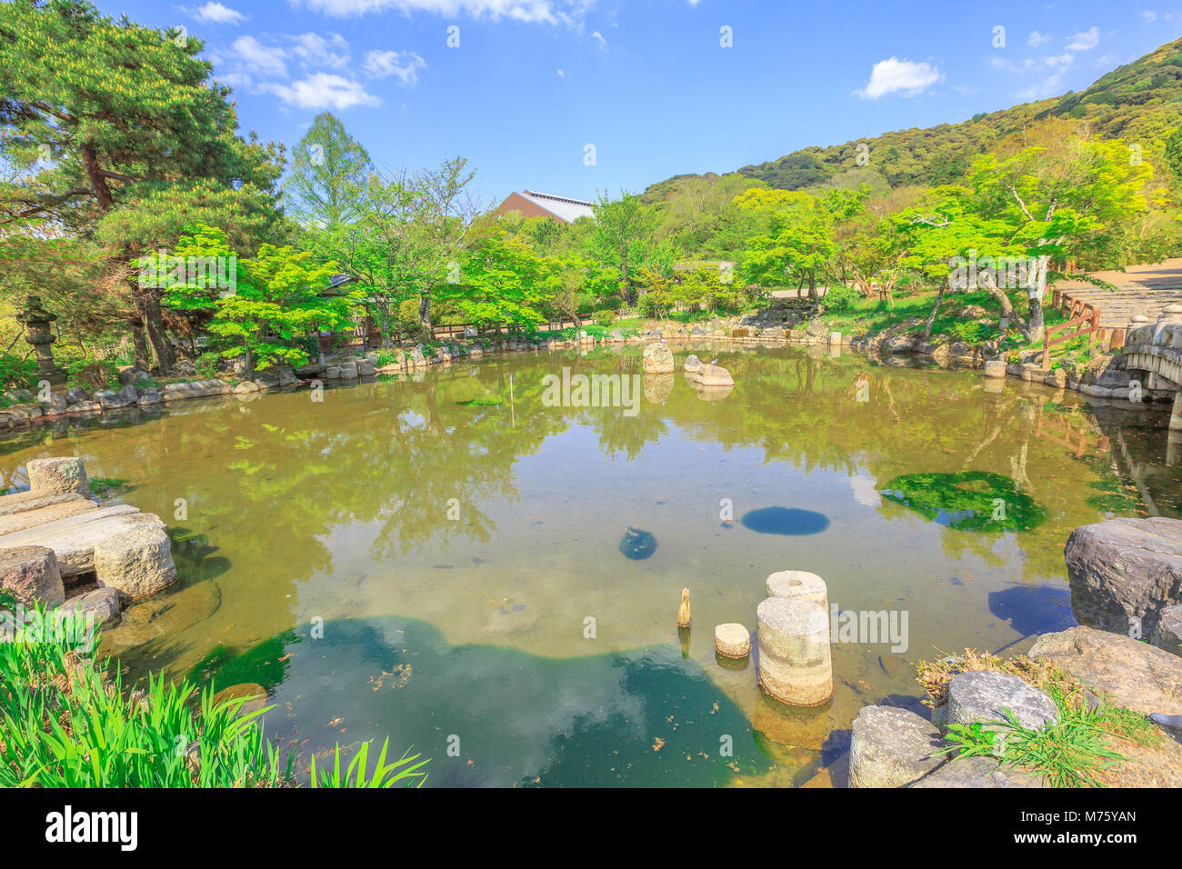 Lo splendido paesaggio di stagno nel Parco di Maruyama, stagione primaverile con cielo blu nel quartiere di Higashiyama, Kyoto, Giappone. Il Parco di Maruyama di Kyoto è il più famoso cherry blossom hanami visualizzazione spot. Foto Stock