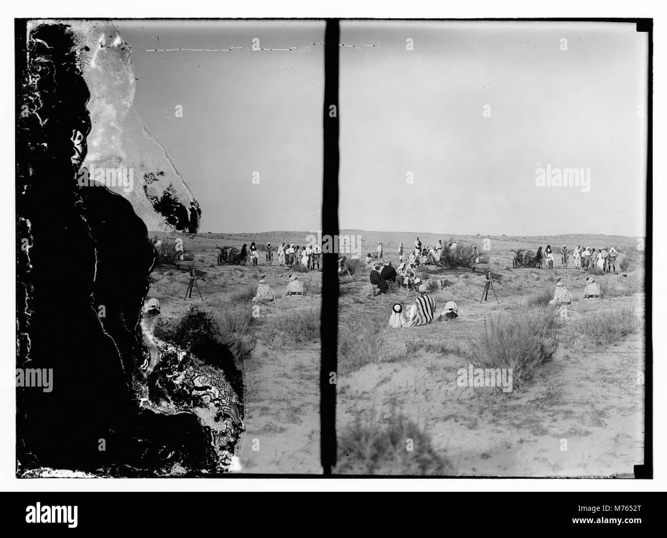 Una fotografia storica che raffigura i lavoratori che affrontano una piaga delle locuste, evidenziando l'impatto dei parassiti agricoli sulle colture e sui mezzi di sussistenza. Foto Stock