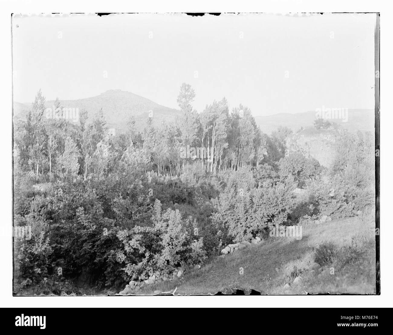 A nord della Palestina viaggio botanico prima 1917 matpc LOC.11576 Foto Stock