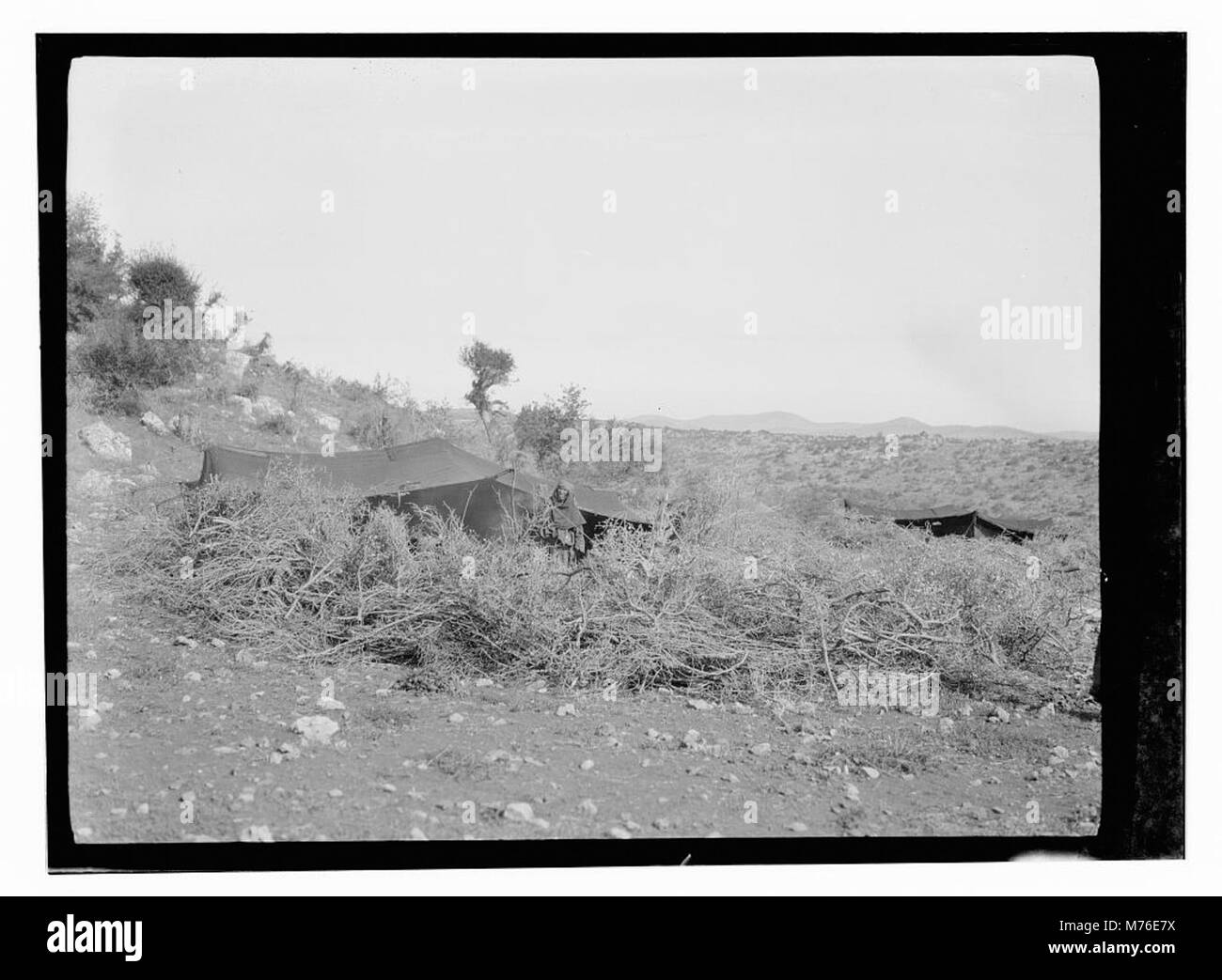A nord della Palestina viaggio botanico prima 1917 matpc LOC.15026 Foto Stock