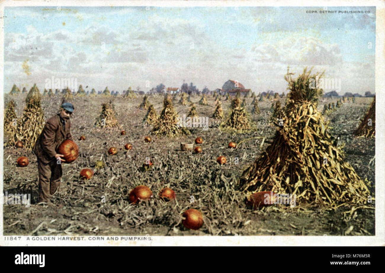 Un'immagine vintage che raffigura un raccolto abbondante di mais e zucche, simboleggia l'autunno e l'abbondanza agricola nell'America rurale. Foto Stock