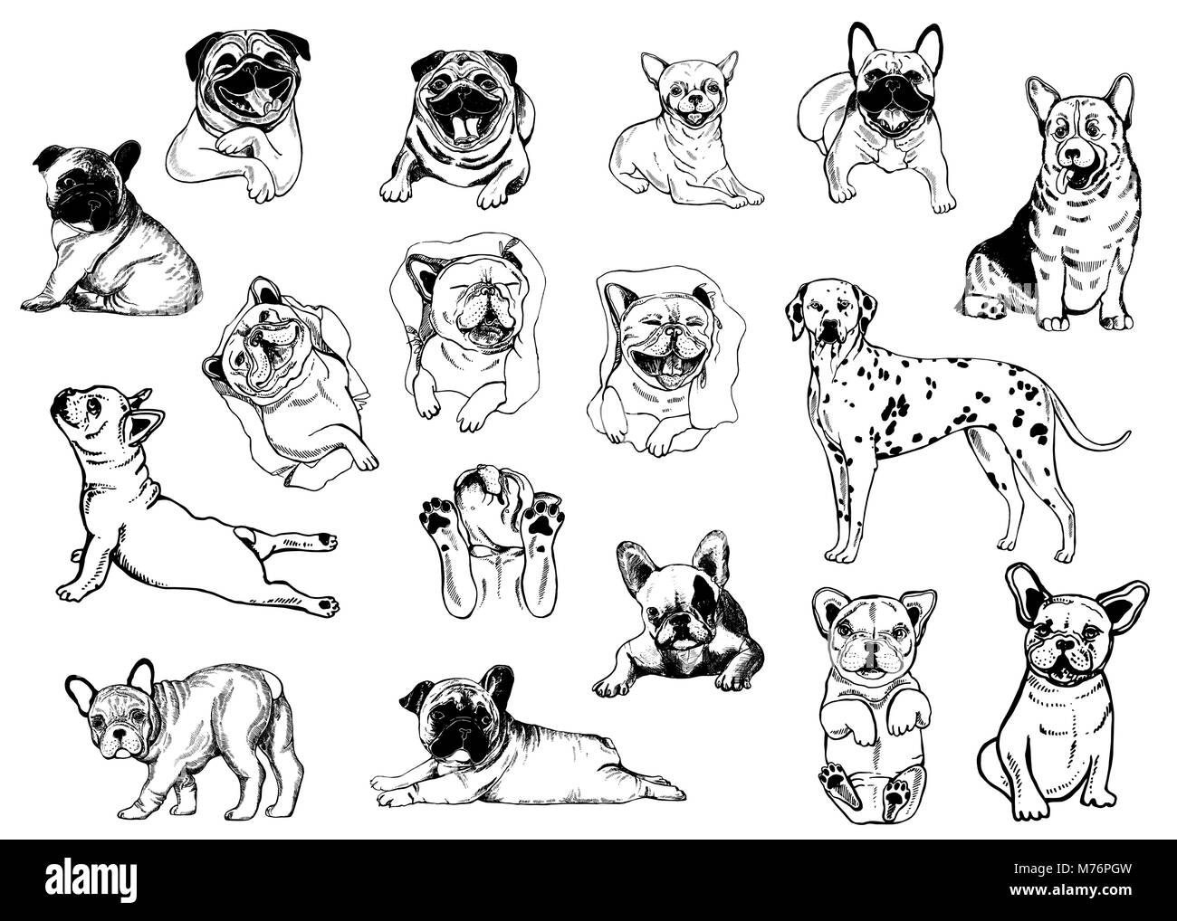 Set di disegnato a mano stile sketch cani isolati su sfondo bianco. Illustrazione Vettoriale. Illustrazione Vettoriale