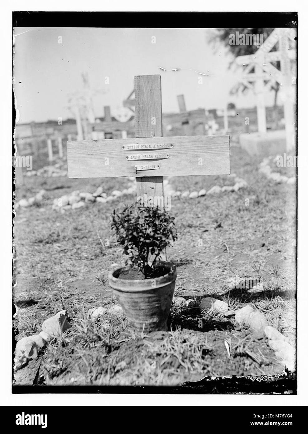 Una fotografia che mostra le tombe dei soldati, probabilmente di un cimitero militare. L'immagine riflette la riverenza per i soldati caduti e il tono cupo di un memoriale in tempo di guerra. Foto Stock