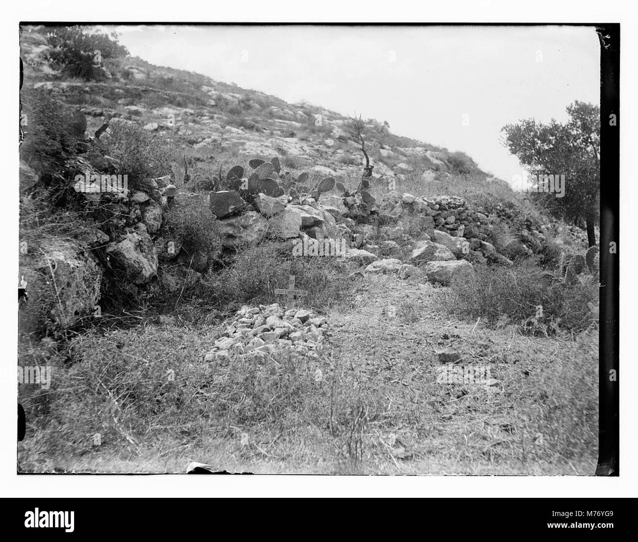 Una fotografia solenne raffigurante le tombe dei soldati, probabilmente provenienti da un cimitero militare, che enfatizza il sacrificio e il ricordo di coloro che servirono. Foto Stock