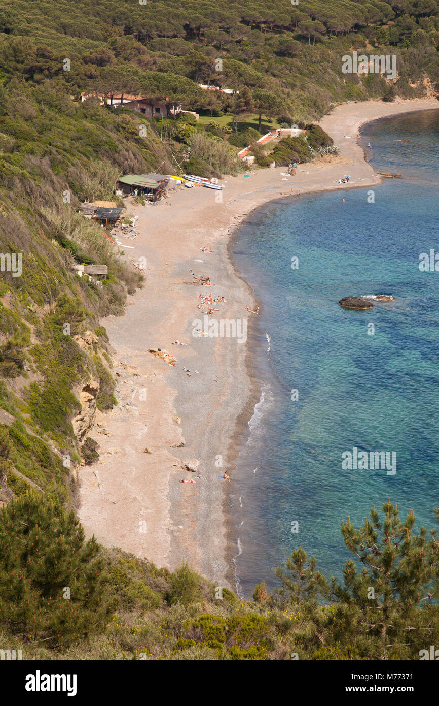 Spiaggia, Golfo Stella, Isola d'Elba, Toscana, Italia, Europa Foto Stock