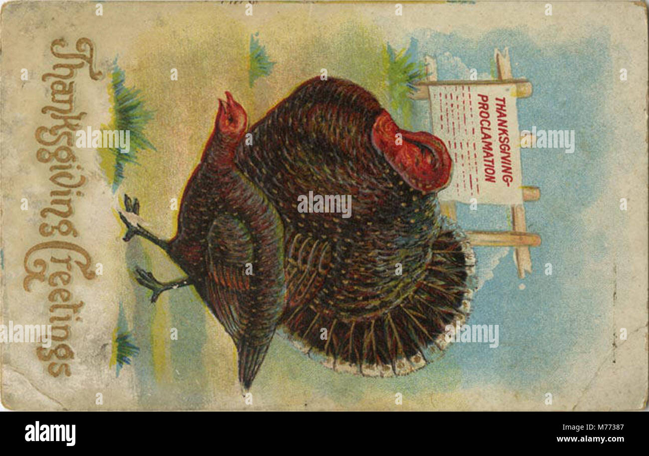 Una cartolina d'epoca del Ringraziamento con due tacchini e un cartello che commemora il proclama della Turchia, simboleggiando lo spirito natalizio e le tradizioni americane. Foto Stock