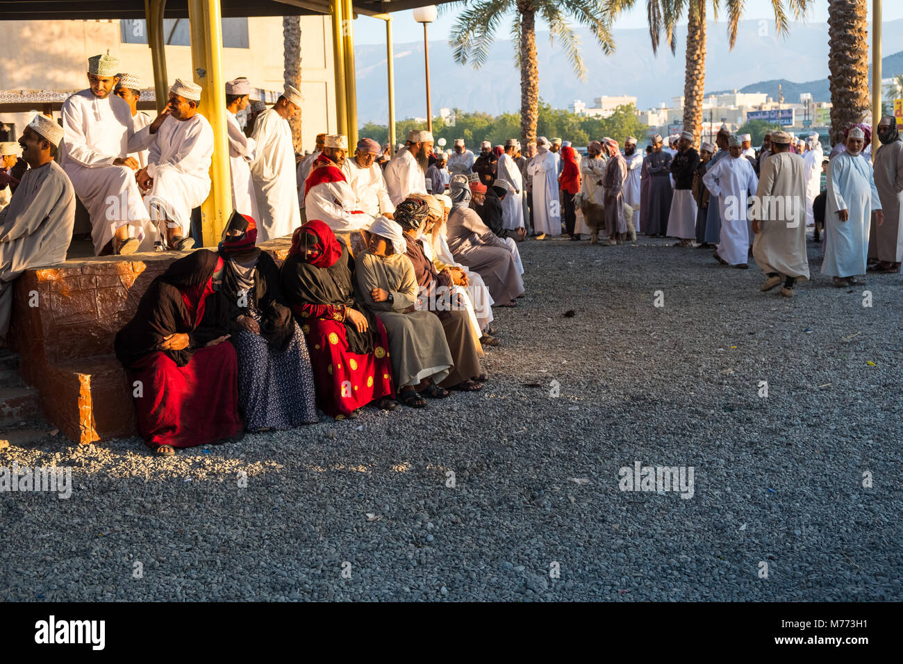 Di scena sul Nizwa mercato di capra, Nizwa, Sultanato di Oman Foto Stock