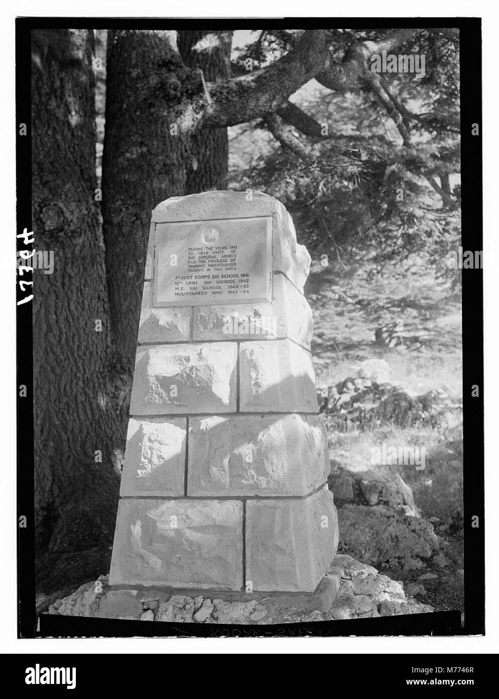 Una fotografia che mostra il famoso bosco di cedri del Libano vicino a Tripoli, con un monumento dedicato alle unità sciistiche dell'esercito imperiale dal 1941 al 1944. Foto Stock