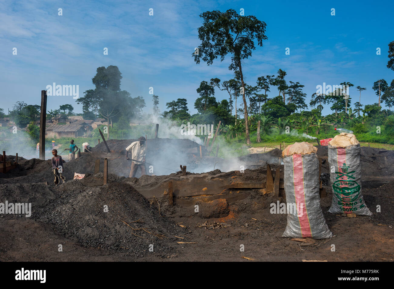 La produzione di carbone di legna (carbone), Libongo, nel cuore della giungla, Camerun, Africa Foto Stock