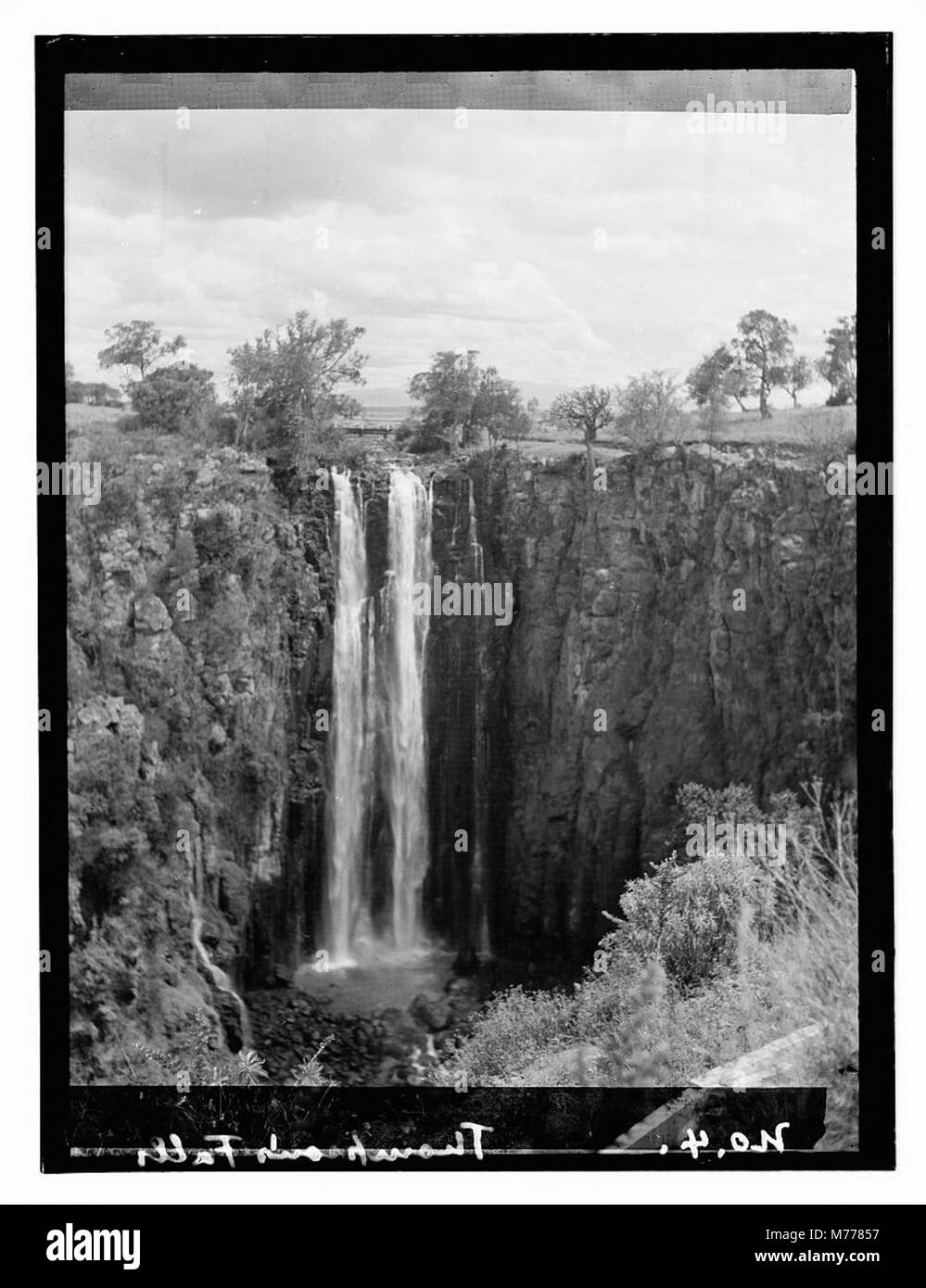 Una fotografia delle Thompson's Falls, che mostra la bellezza naturale della cascata. L'immagine evidenzia il flusso dell'acqua e il paesaggio circostante. Foto Stock