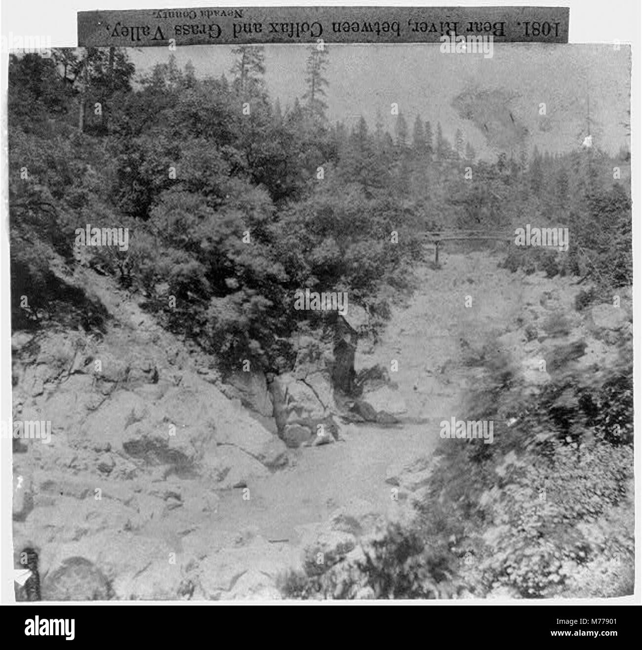 Una vista panoramica del fiume Bear, situato tra Colfax e Grass Valley nella contea di Nevada. La fotografia mostra la bellezza naturale di questa regione. Foto Stock