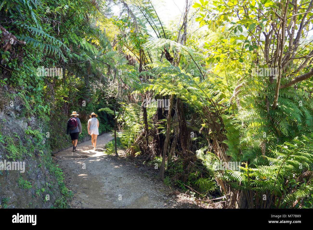 Giovane camminando sulla via costiera passerella, il Parco Nazionale Abel Tasman, Marahau, Tasman Bay, Tasman District, Nuova Zelanda Foto Stock