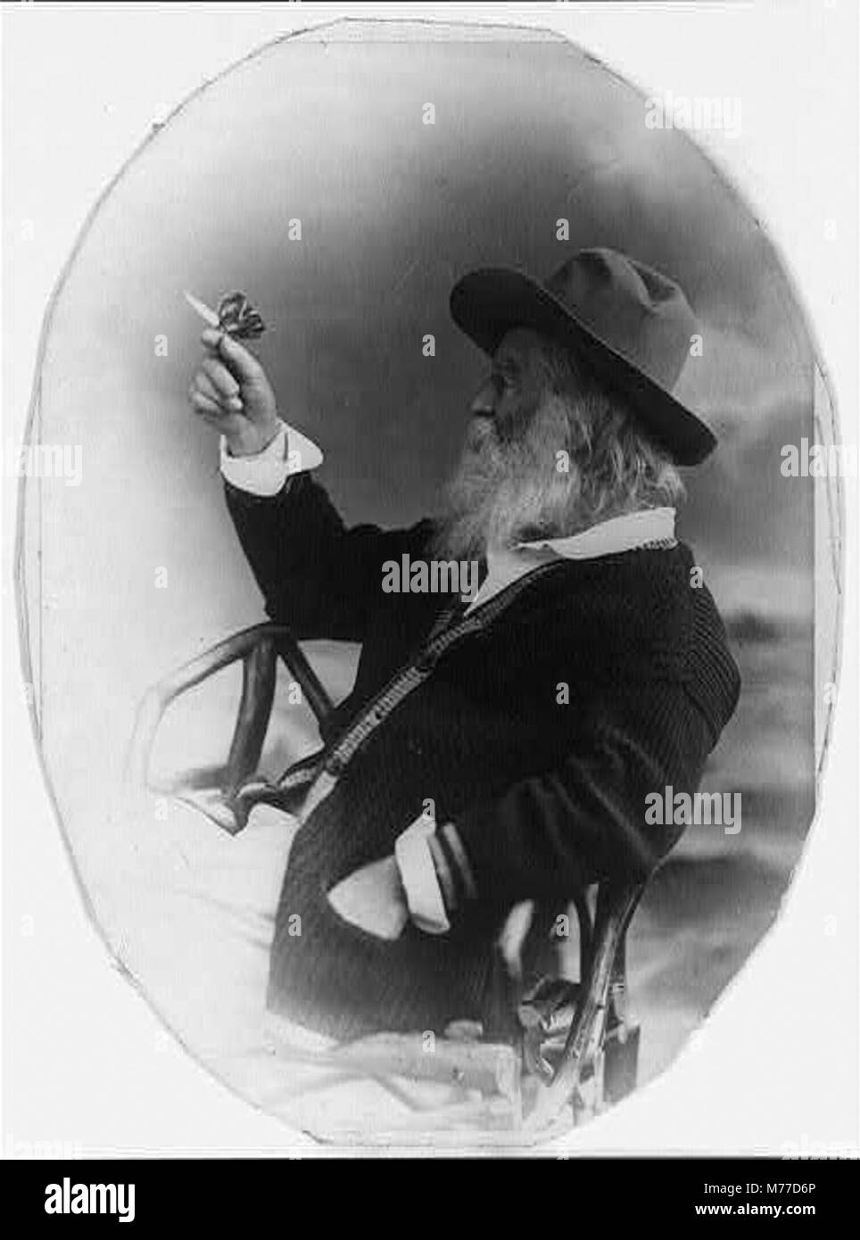 Walt Whitman, mezza lunghezza ritratto, seduto, rivolto verso sinistra, indossare un cappello e un maglione, tenendo butterfly LCCN00650592 Foto Stock