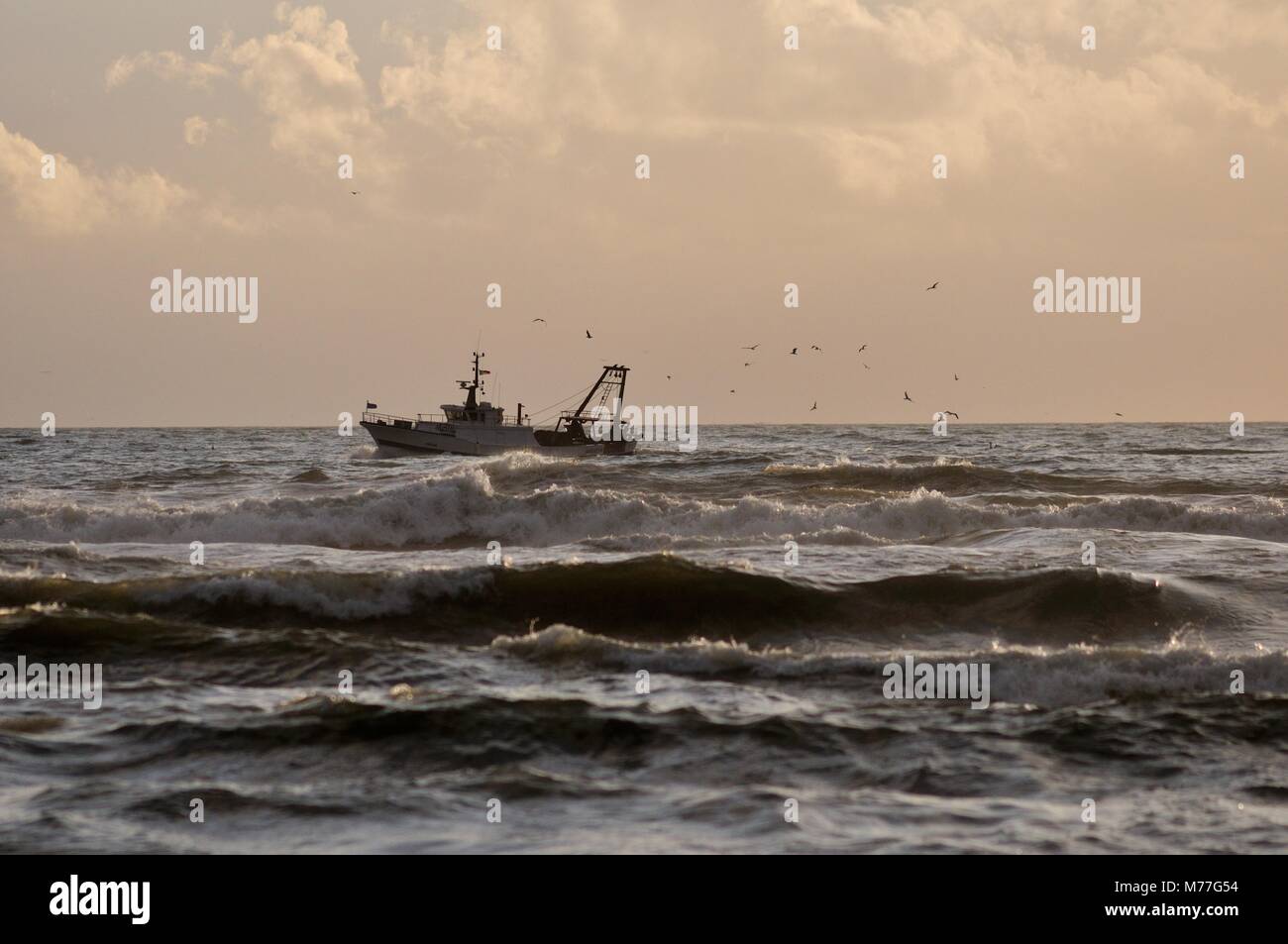 Barca da pesca all'orizzonte Foto Stock