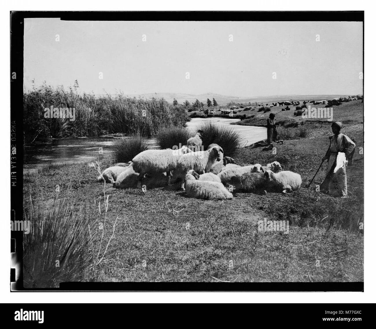 Una rappresentazione visiva del Salmo 23, con un'interpretazione artistica del testo biblico. L'immagine spesso raffigura temi di pace, guida e protezione, in linea con il contenuto del salmo, riflettendo il suo significato spirituale. Foto Stock