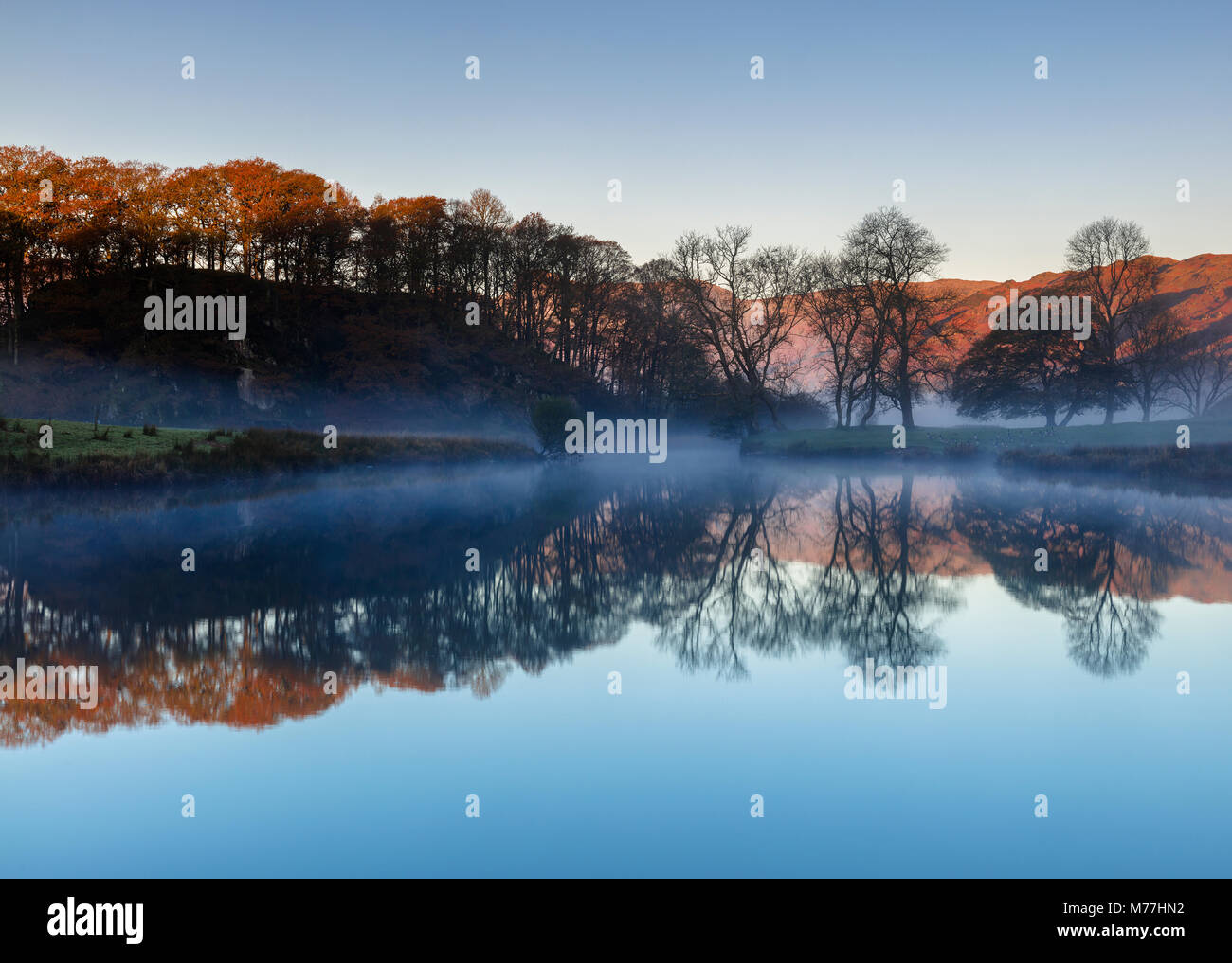 Luce di Alba, alberi e distante fells con nebbia che giace al di sopra di Elterwater rivelando un perfetto riflesso, Parco Nazionale del Distretto dei Laghi, UNESCO, Cumbria, Regno Unito Foto Stock