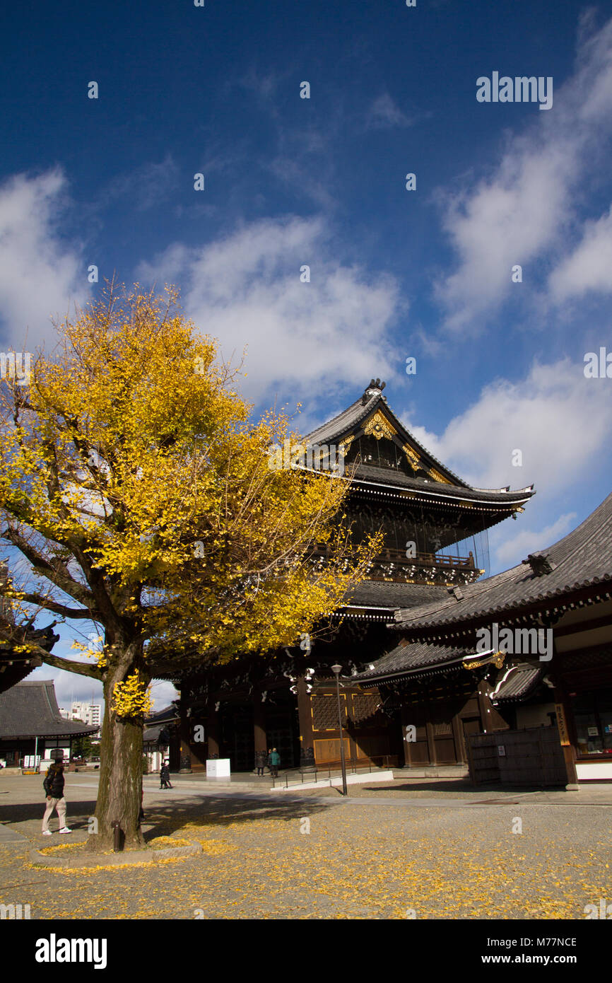 L'Higashi Honganji Shin tempio buddista, Kyoto, Giappone, Asia Foto Stock