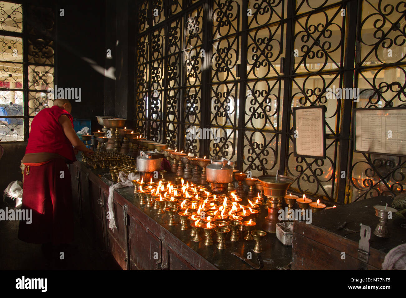 Buddisti Tibetani monaci di Losar (tibetano Nuovo Anno) in il Dalai Lama tempio, McLeod Ganj Dharamsala, Himachal Pradesh, India, Asia Foto Stock