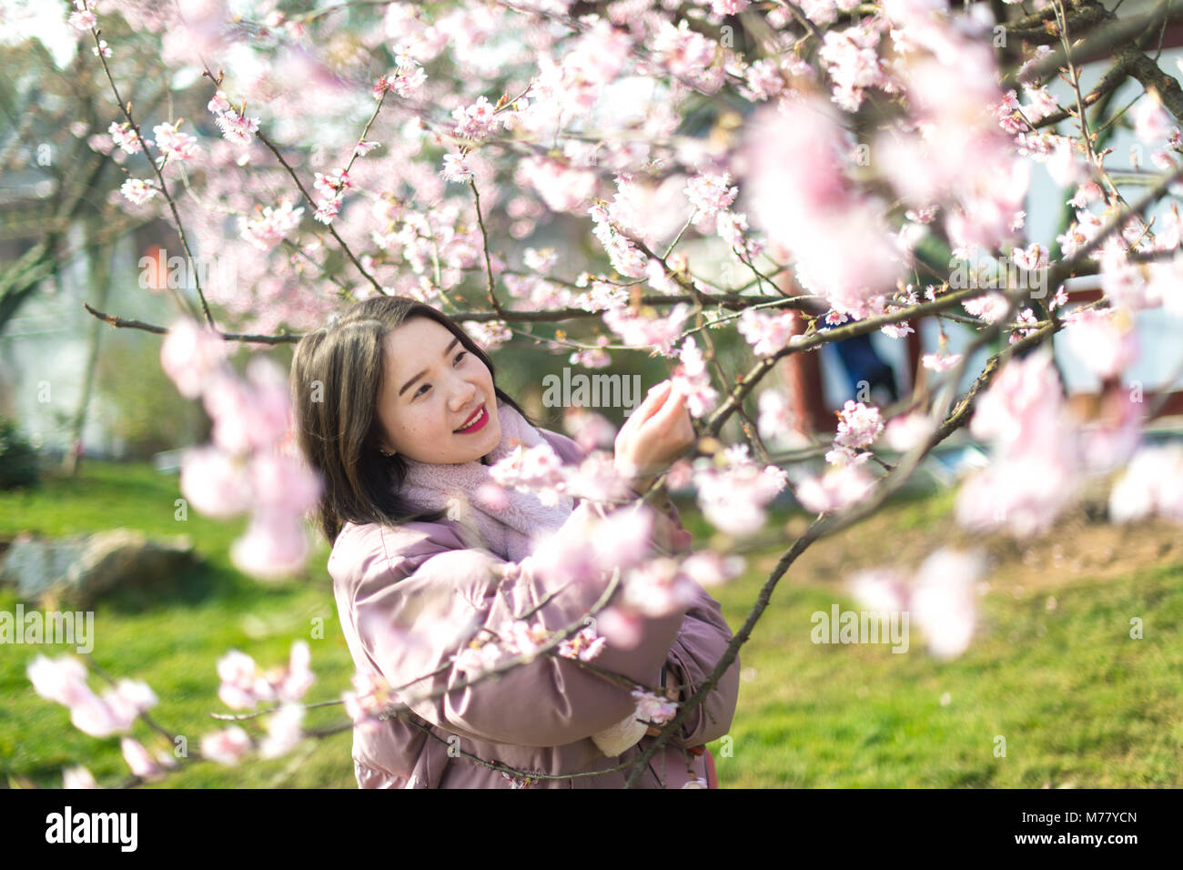 Wuhan, la Cina della provincia di Hubei. 9 Mar, 2018. Un turista guarda la fioritura dei ciliegi nel Donghu Scenic Area a Wuhan, Cina centrale della provincia di Hubei, 9 marzo 2018. Credito: Xiong Qi/Xinhua/Alamy Live News Foto Stock