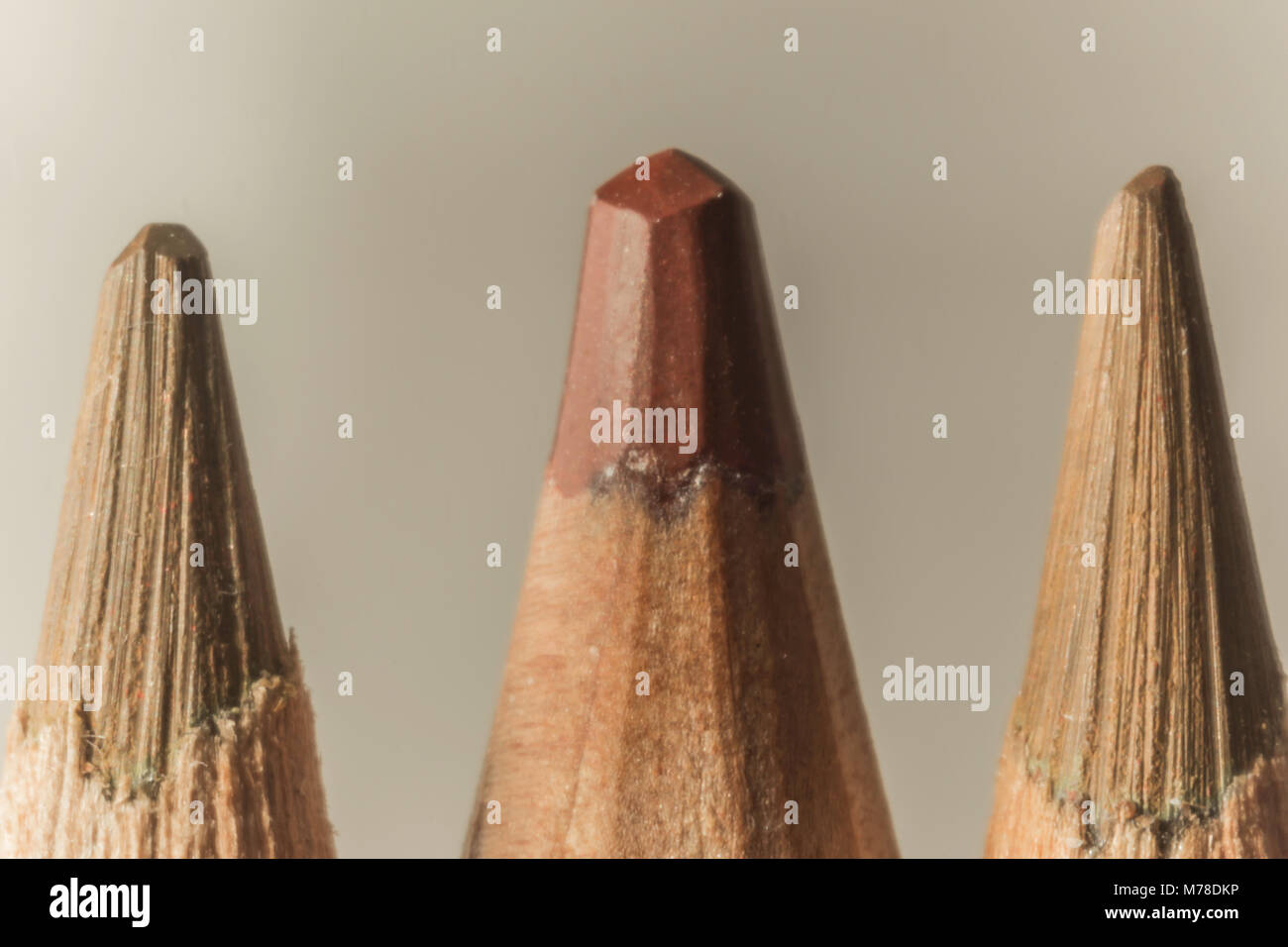 La fotografia macro di tre matite di colore marrone.sfumature differenti.manuale e meccanica di affilatura matite.foto per il sito sull'arte,hobby, istruzione. Foto Stock
