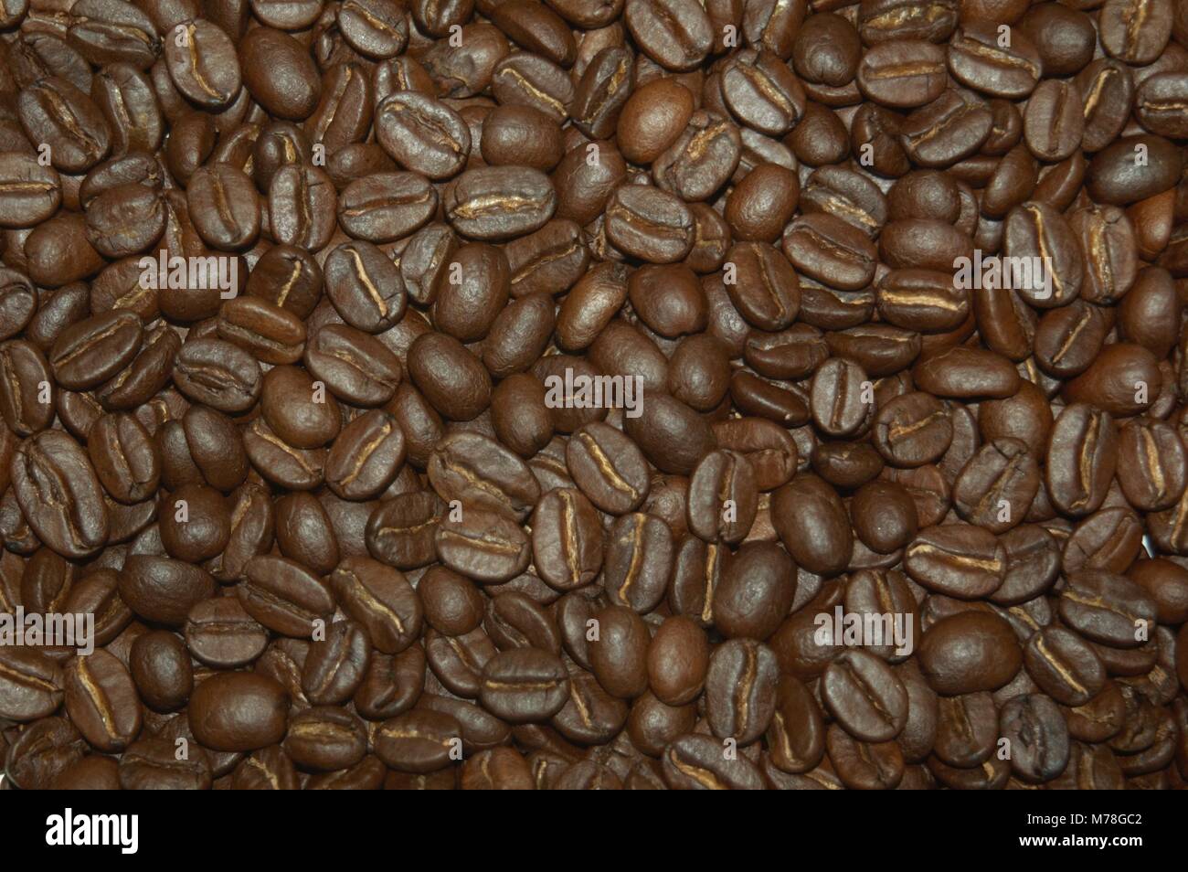Caffè torrefatto in grani che cosa rende una tazza di caffè buono? Andy si propone di scoprire e decostruire i tre aspetti più importanti di realizzare il perfetto Foto Stock