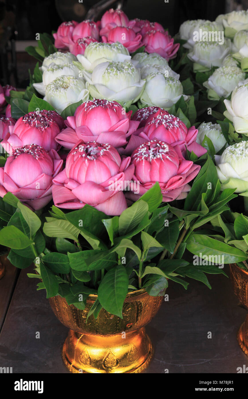 Thailandia, Bangkok, il mercato dei fiori, fiori, Lotus Foto Stock