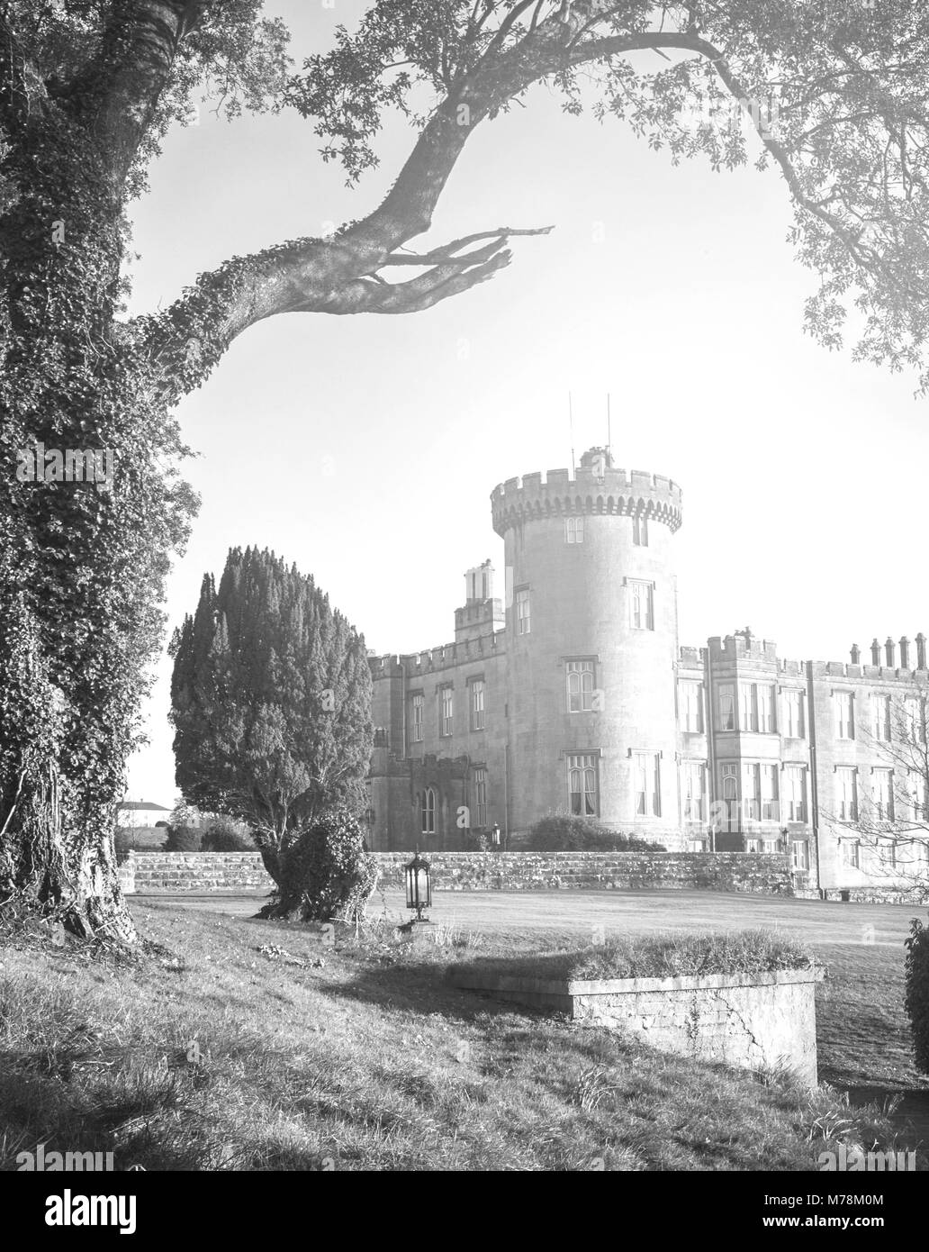 Bellissimo il nero e il bianco paesaggio fotografia di un vecchio irlandese celtic castle . scenic Irlanda castello impostato in una foresta Foto Stock