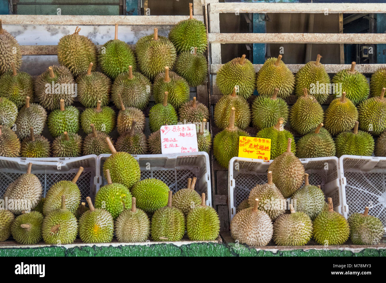 Durians, 'il Re della Frutta" per la vendita in un negozio di durian in Geylang, Singapore. Foto Stock