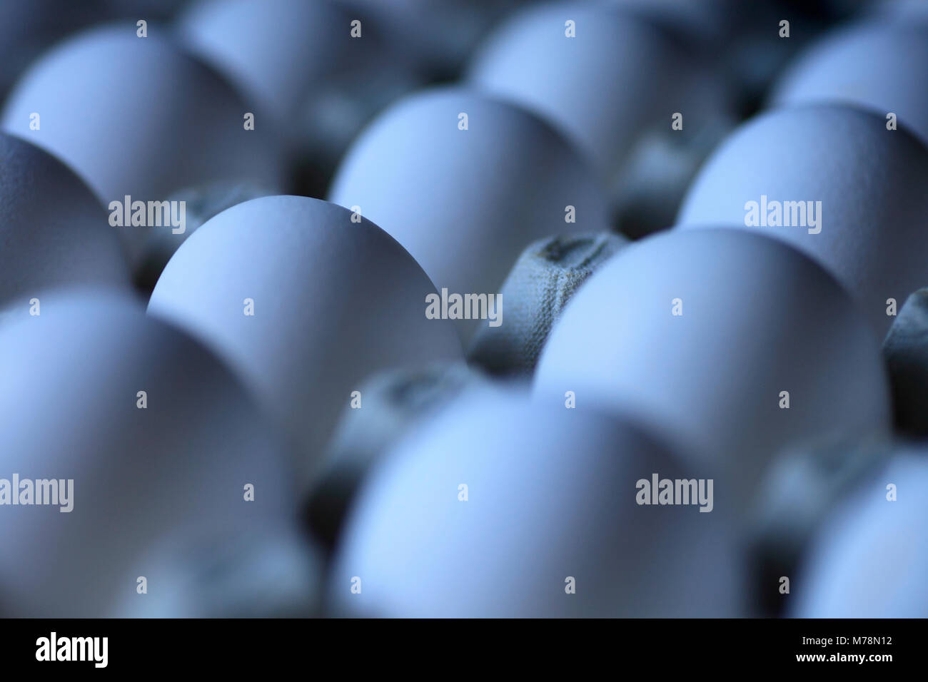 Bianco uova di pollo su un vassoio di cartone. Foto Stock