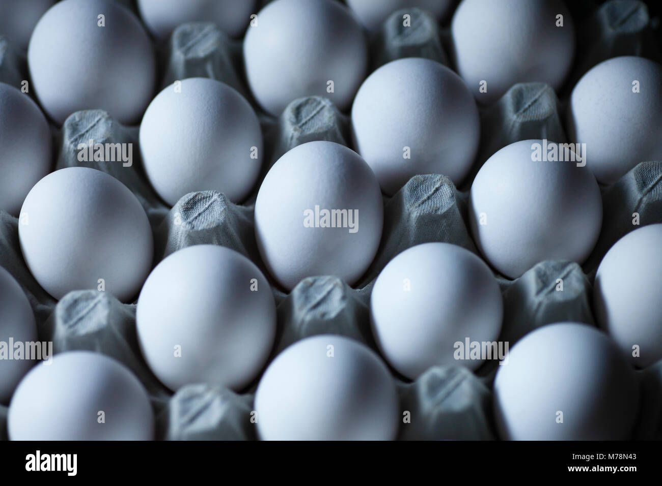 Bianco uova di pollo su un vassoio di cartone. Foto Stock