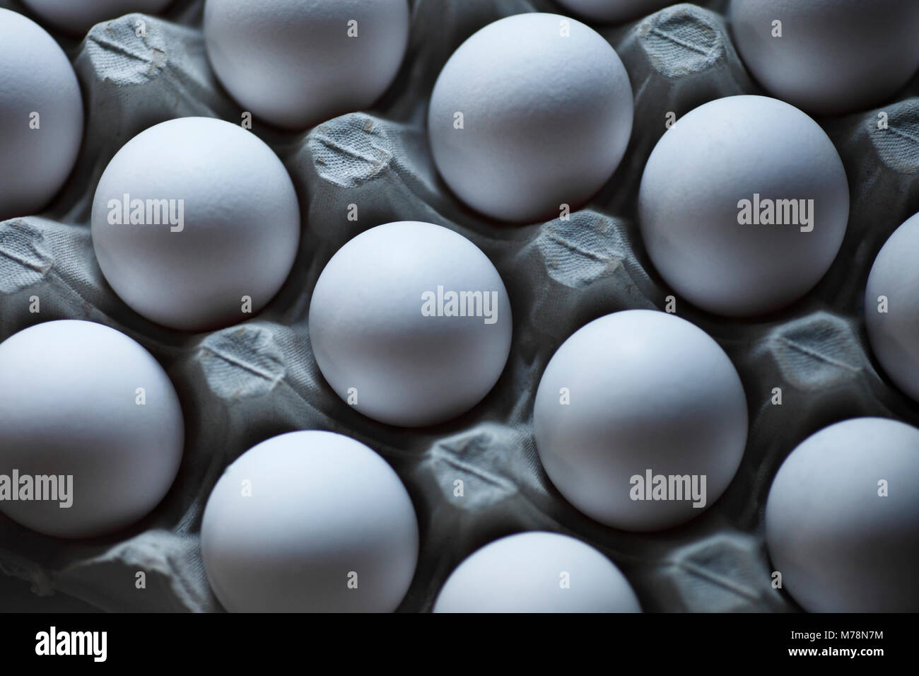 Bianco uova di pollo su un vassoio di cartone. Foto Stock