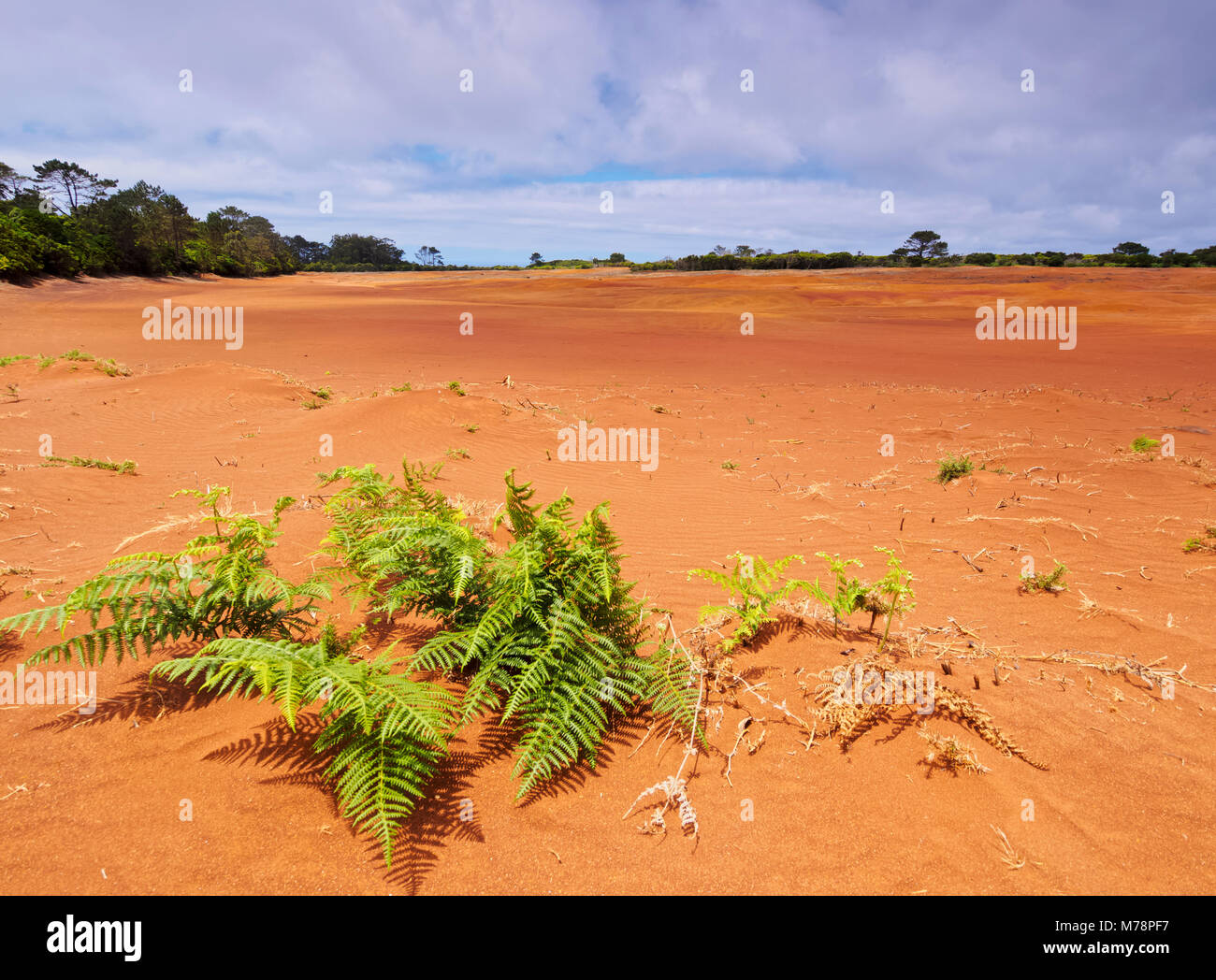 Barreiro da Faneca, Deserto Rosso, Santa Maria Island, Azzorre, Portogallo, Atlantico, Europa Foto Stock