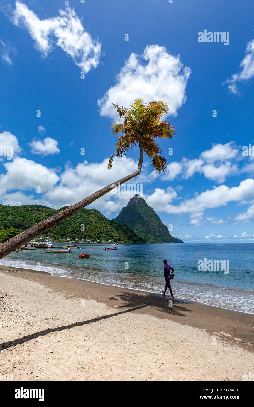 Uomo a camminare sotto un lone palm sulla spiaggia di Soufriere con Petit Piton nella distanza, Santa Lucia, isole Windward, America Centrale Foto Stock