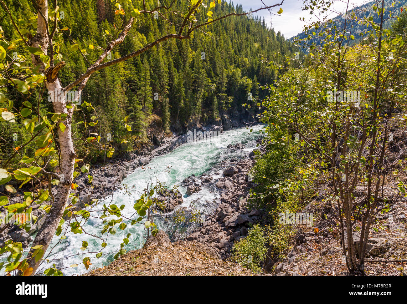 Vista del bianco rapide sul Clearwater River vicino a Clearwater, British Columbia, Canada, America del Nord Foto Stock