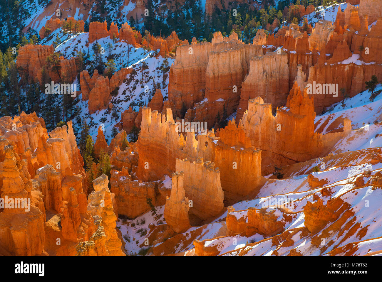 Sunrise, Wall Street, il Parco Nazionale di Bryce Canyon, Utah Foto Stock