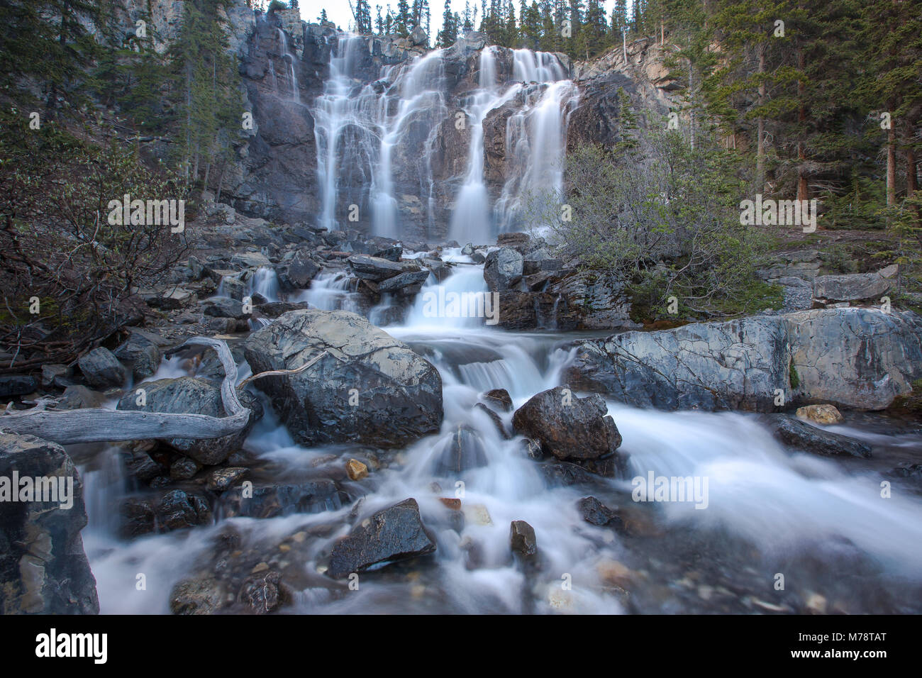 Groviglio Falls, appena al di sotto della prima fase di un incantevole a gradini multipli cade sulla Icefield Parkway nel Parco Nazionale di Jasper, Alberta Canada. Foto Stock