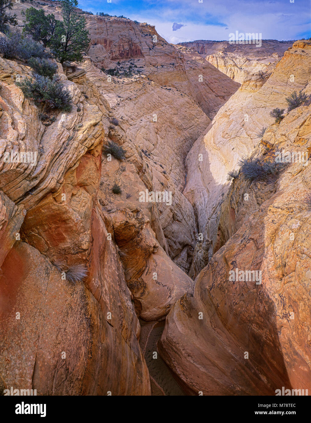 La morte cava, Grand Staircase-Escalante monumento nazionale, Utah Foto Stock