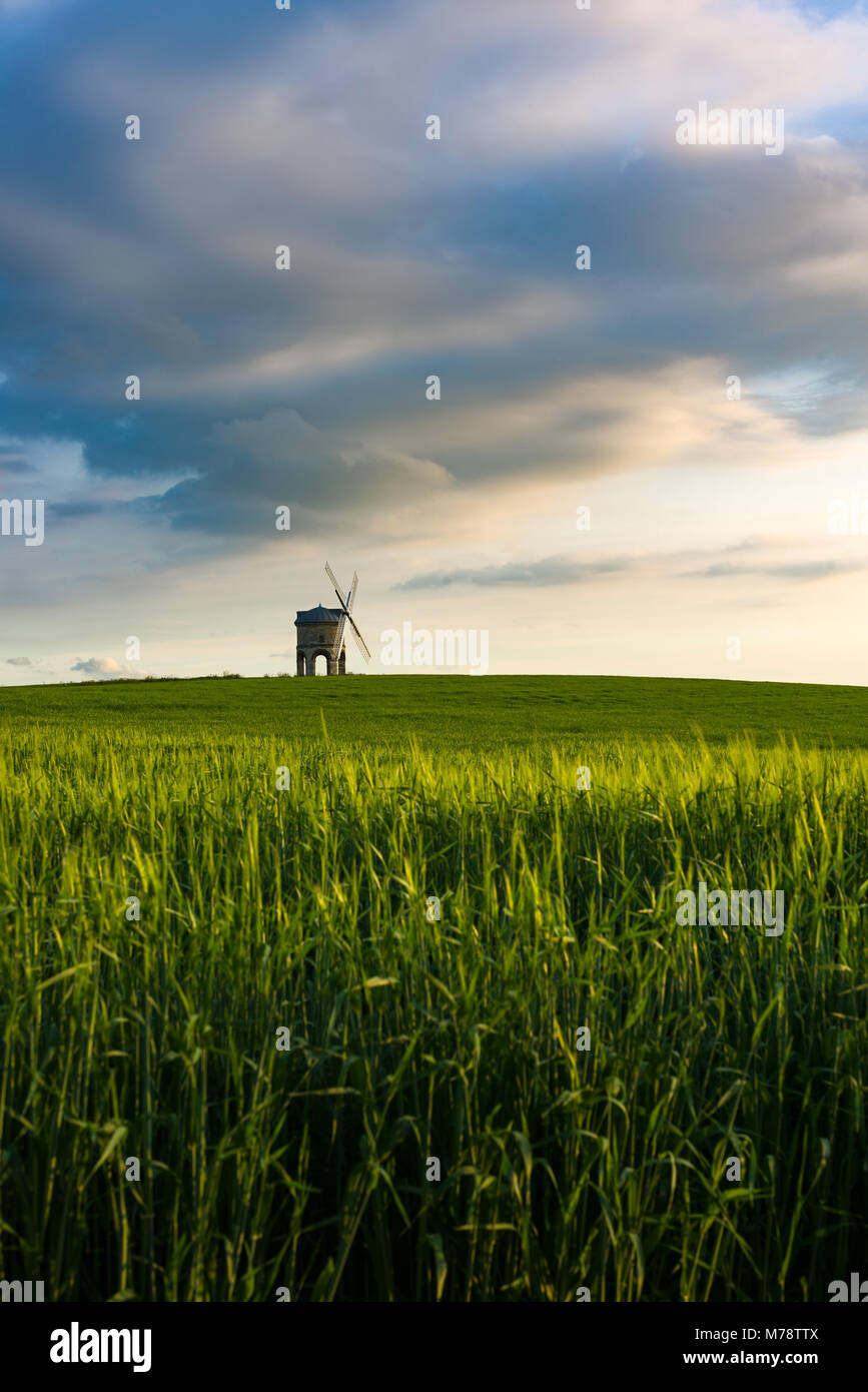 Chesterton windmill su una serata estati verde con campo di grano che lo circonda, Warwickshire, Regno Unito Foto Stock