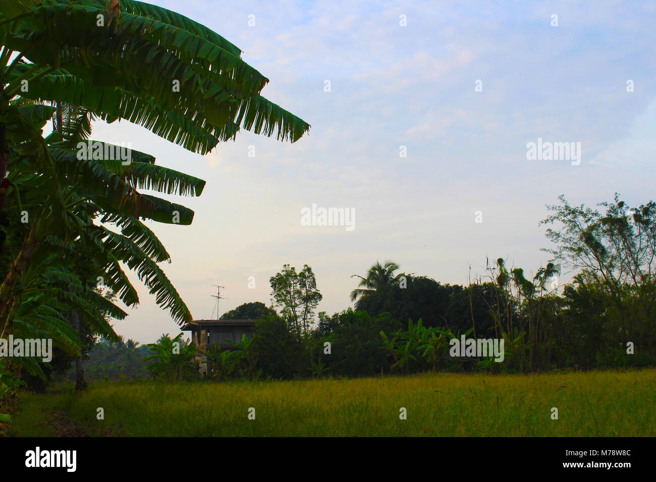 Tramonto alle Università di Kasetsart Foto Stock