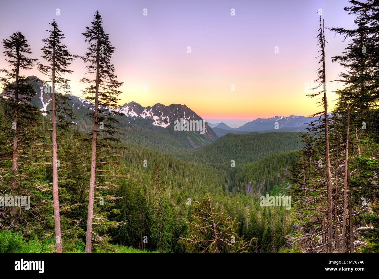 Vista panoramica del monte Rainier National Park, nello Stato di Washington, USA Foto Stock