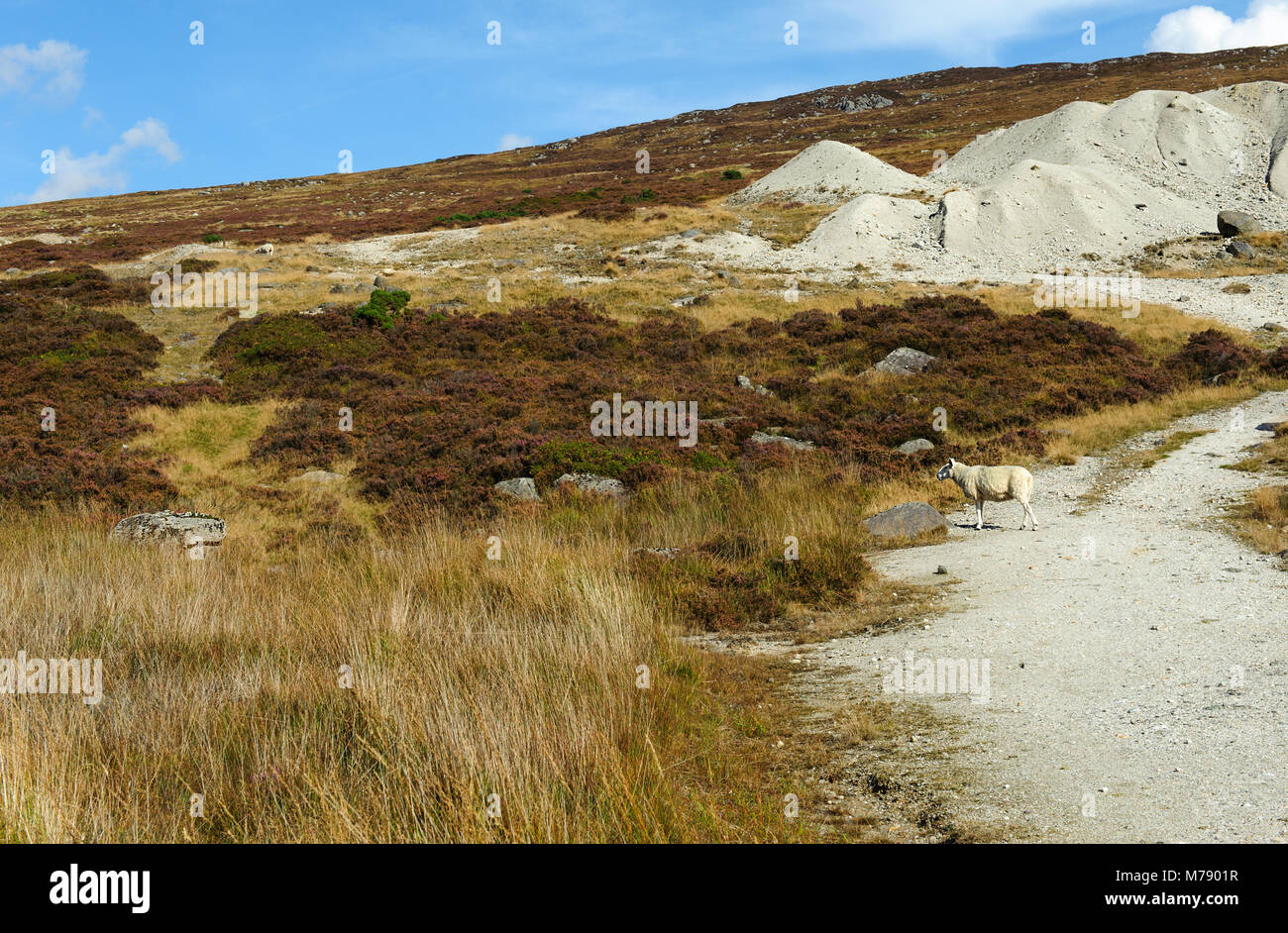 Vista panoramica nelle montagne di Wicklow, Irlanda Foto Stock