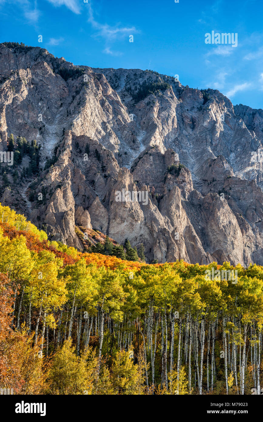 Marcellina montagna, aspens in caduta delle foglie, visto da West Elk Loop Scenic Byway, la Foresta Nazionale di Gunnison, West Elk Mountains, Colorado, STATI UNITI D'AMERICA Foto Stock