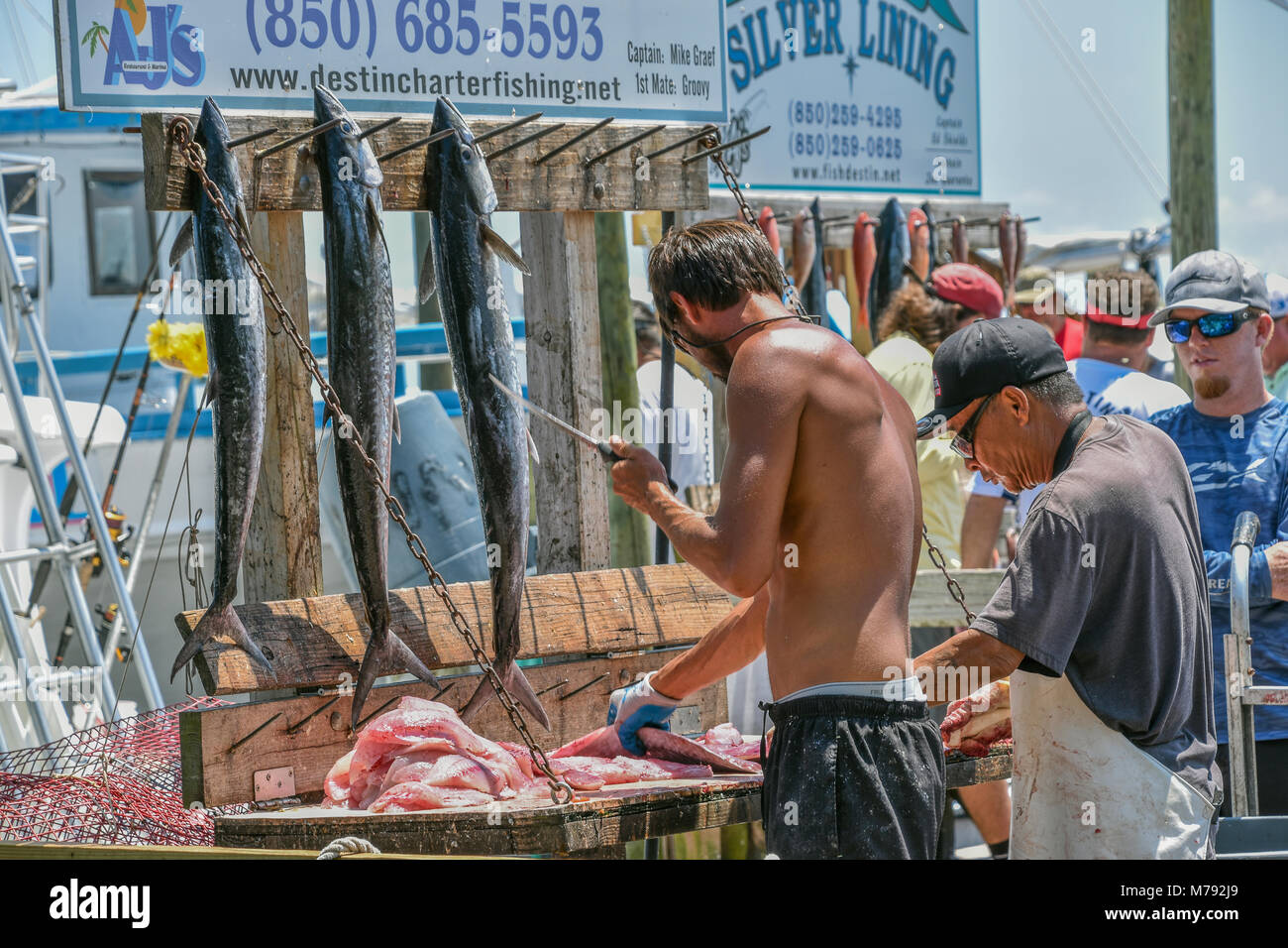 Un pescatore di pulizia la sua cattura su un molo di Destin Florida. Ci sono un'abbondanza di ristoranti in Destin Florida che serve pesce fresco pescato giornalmente. Foto Stock