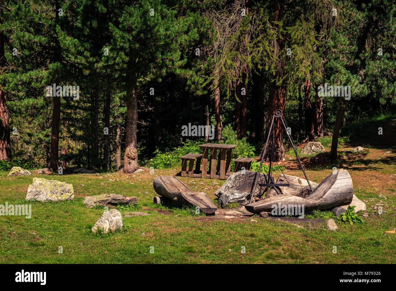 Pubblica sito pic-nic con barbecue e installazione di un tavolo di legno nella foresta a Lej Marsch vicino a San Moritz. Alta Engadina, Svizzera Foto Stock