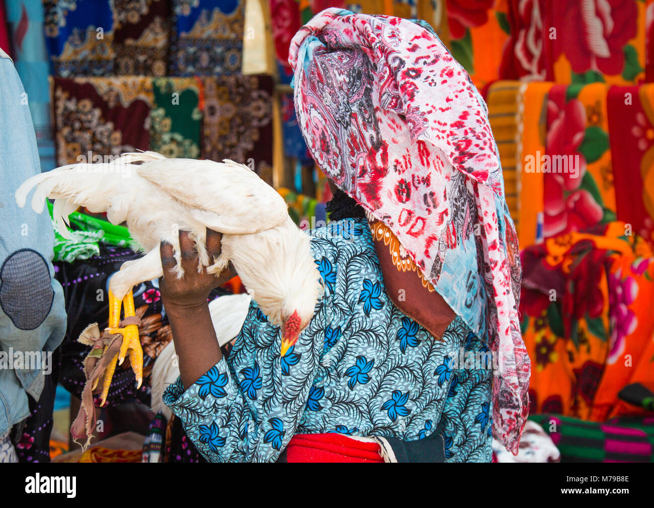 Donna Oromo shopping una sciarpa e un pollo dal vivo presso il colorato mercato sambate, Oromo, Sambate, Etiopia Foto Stock