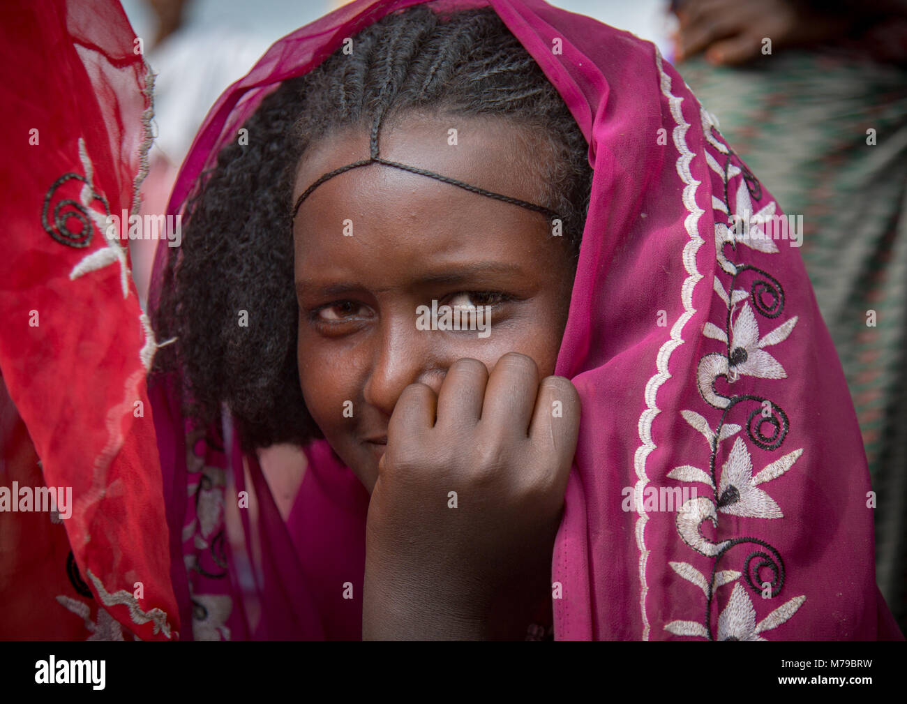 Raya tribù donna con una bella acconciatura e capelli ricci, Semien wollo zona, Woldia, Etiopia Foto Stock