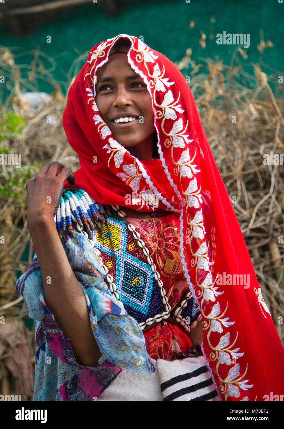 Raya tribù donna con un colorato bordato baby carrier nel suo retro, Semien wollo zona, Woldia, Etiopia Foto Stock
